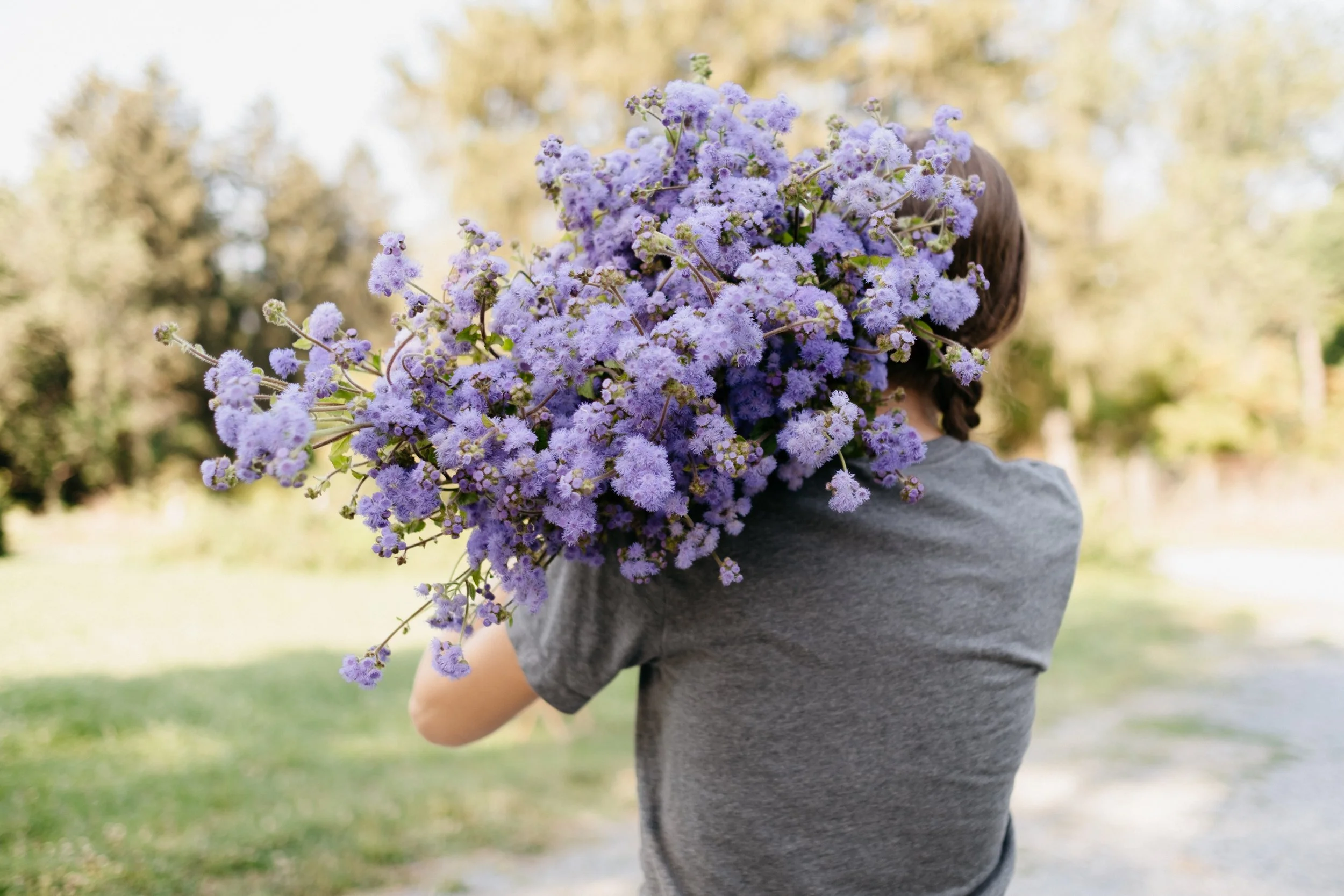 ButterbeeJuly2021-LABirdiePhotography-94 (1).jpg