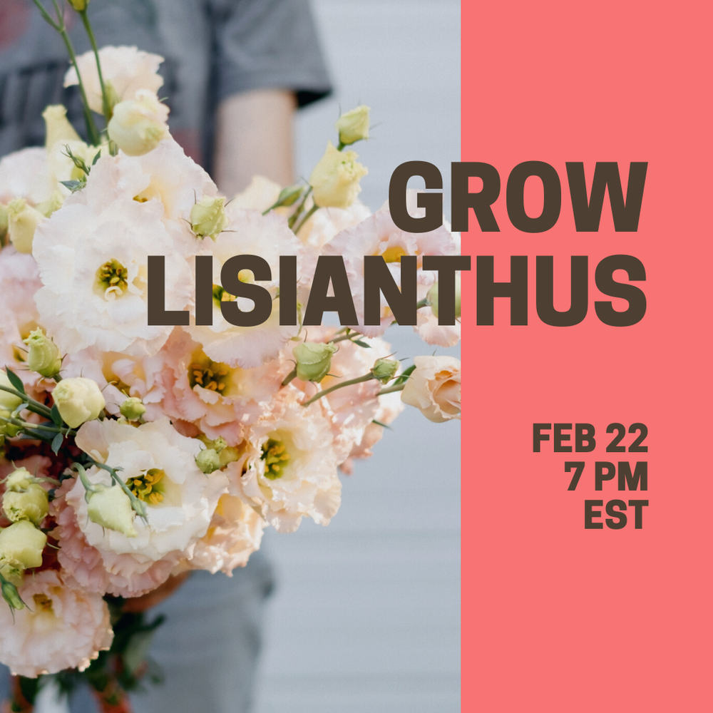 grow lisianthus(1).png