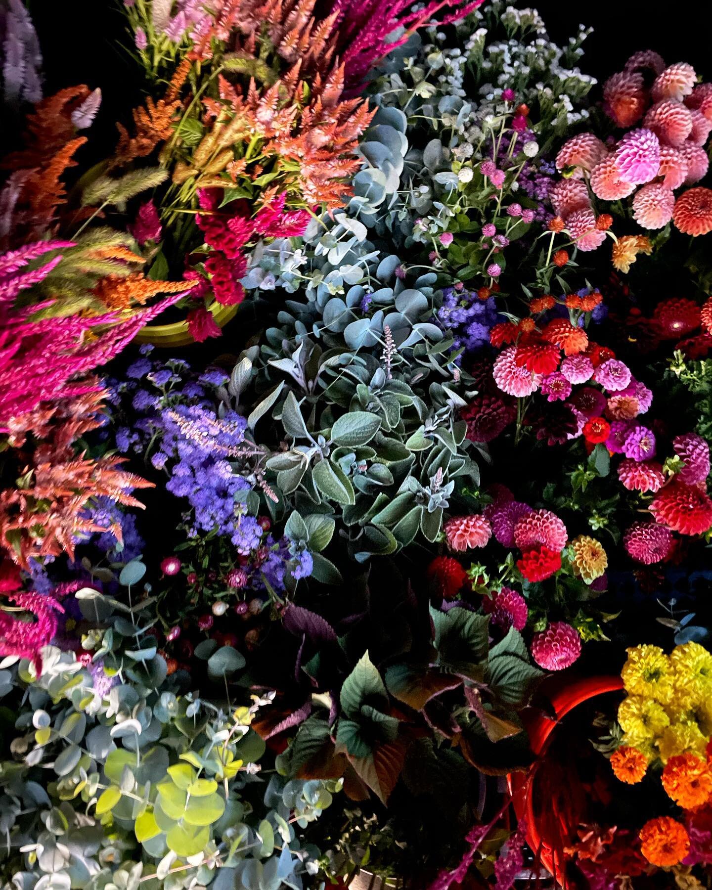 A rainbow of color in the delivery van! 

Special thanks to our standing weekly customers for being truly wonderful. These are small businesses that buy local flowers every single week, it takes effort and they are doing it!! Buying from them is a gr