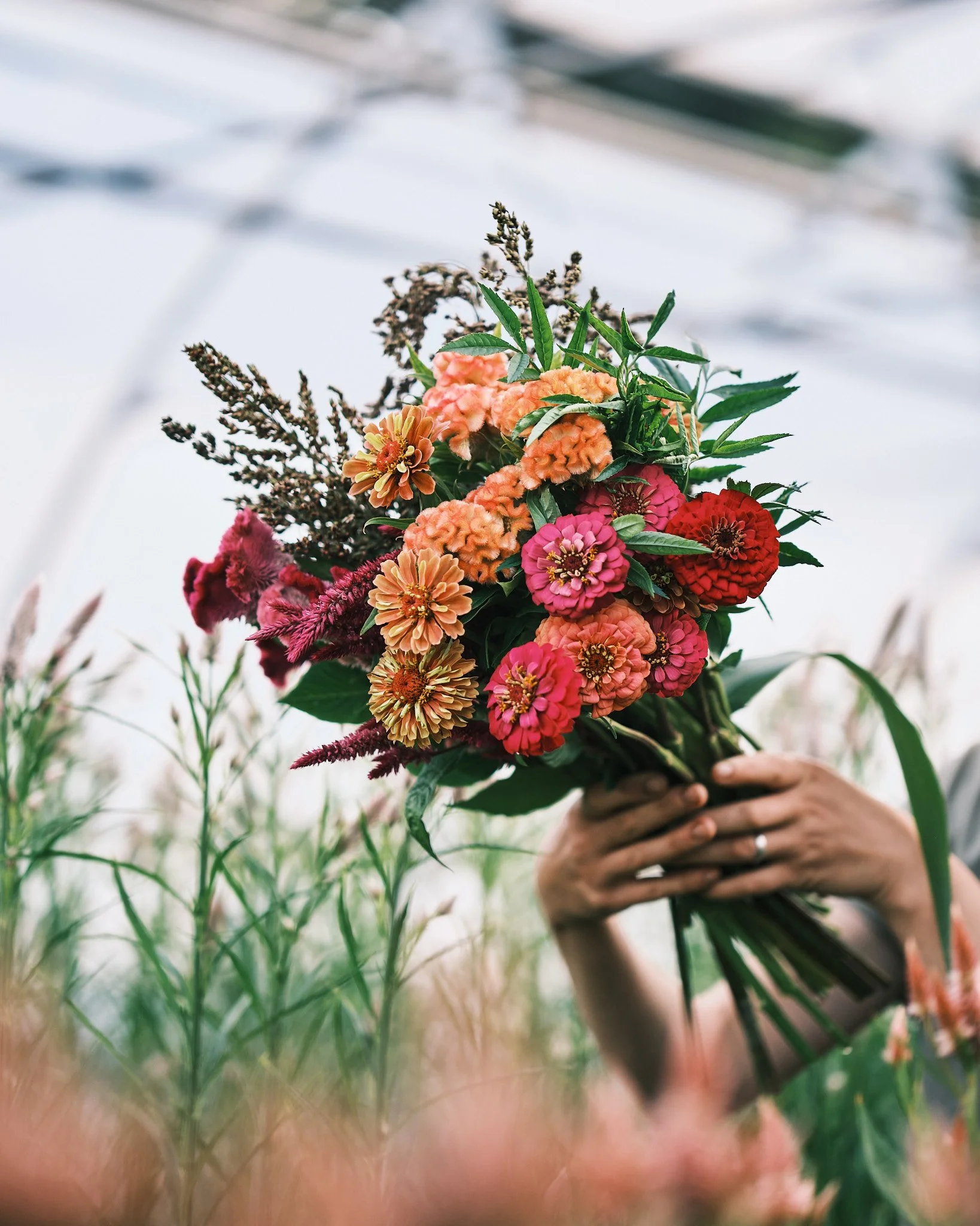 Butterbee Farm_08.23.24 17.jpg