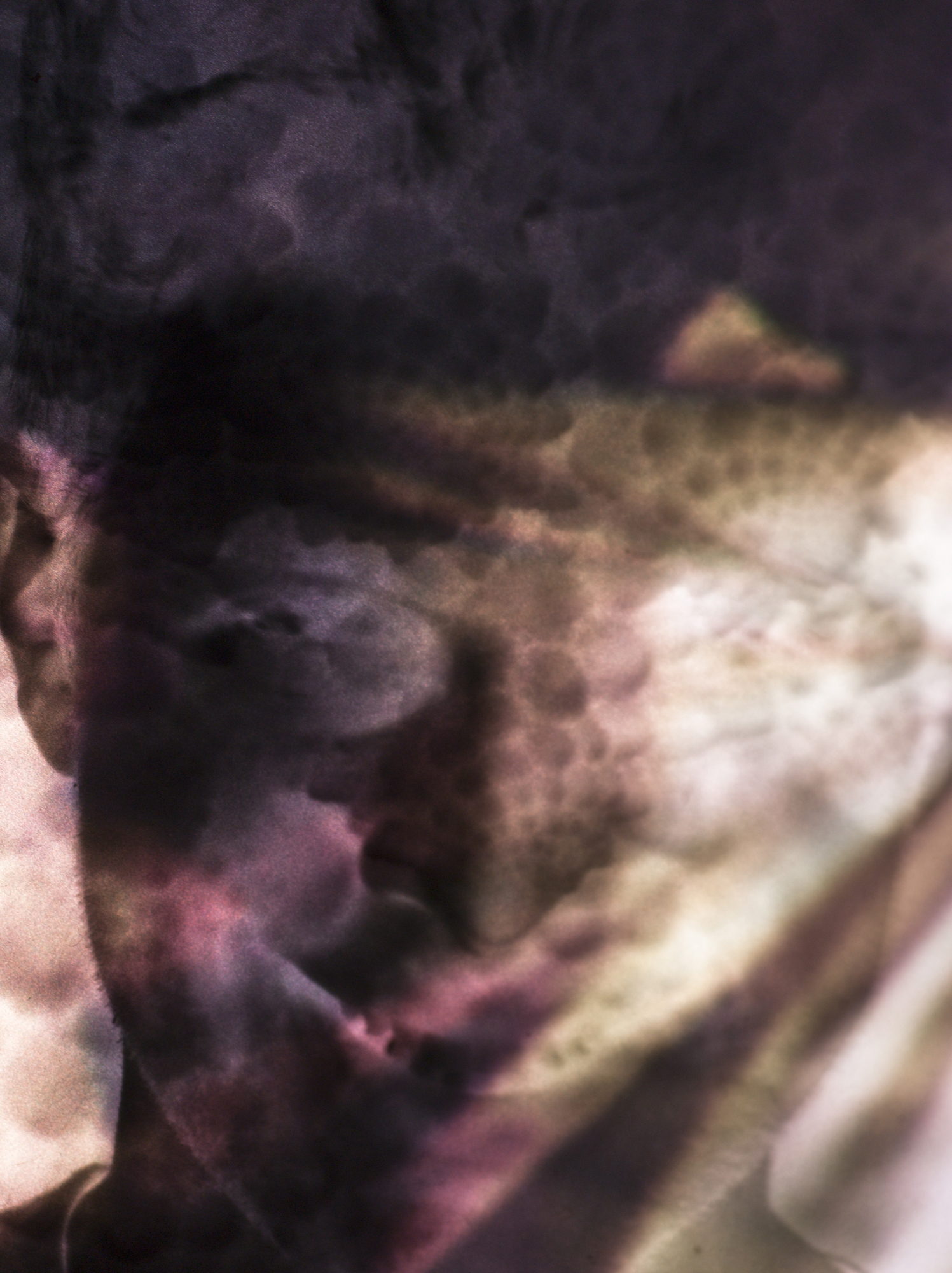Who was I? , 2015 Digital C Print on pearl-metallic paper 22 x 14.5 in Edition of 5 + Artist Print