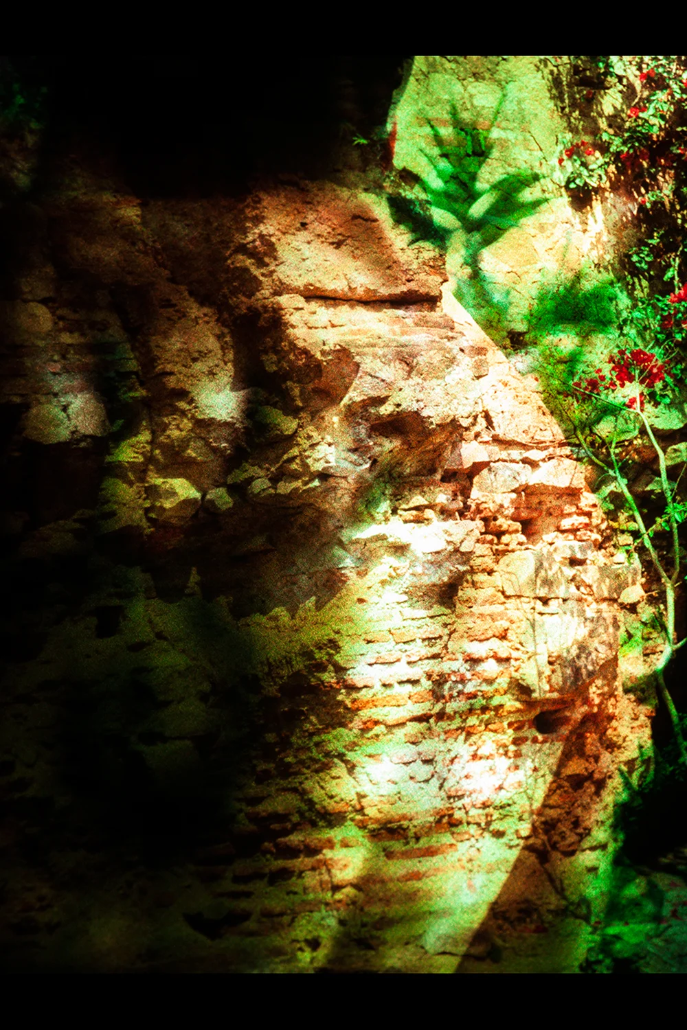 Naturæ