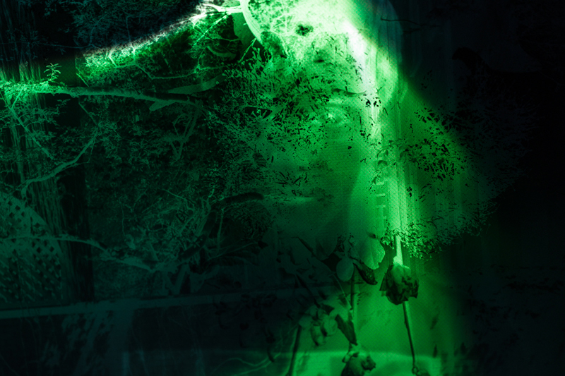 The Separation , 2015 Digital C Print on Pearl-Metallic Paper 22 x 16.5 in Edition of 11 + 2 Artist Prints