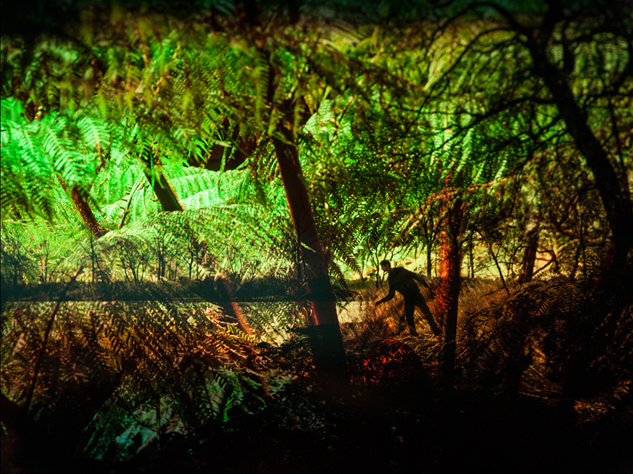 Inner Jungle , 2015 Digital C Print on Pearl-Metallic Paper 30 x 45 in Edition of 11 + 2 Artist Prints