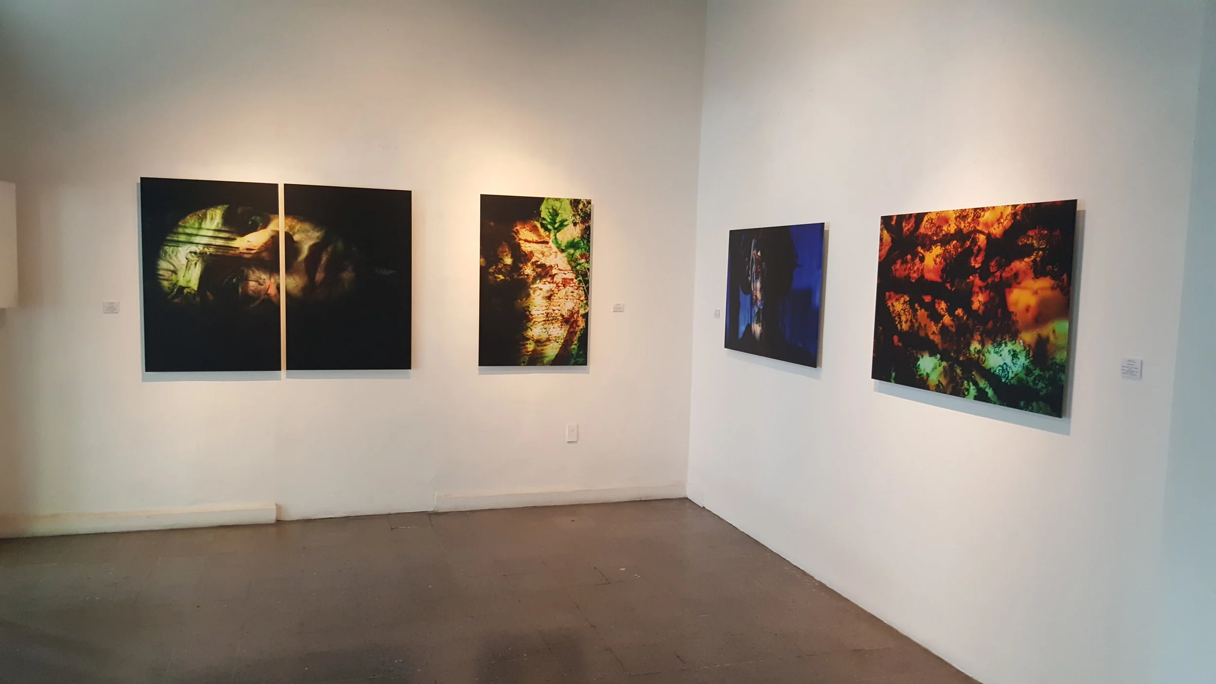 Naturæ. Exhibition view. Traeger y Pinto Gallery, Mexico City,  June 2016.&nbsp; 