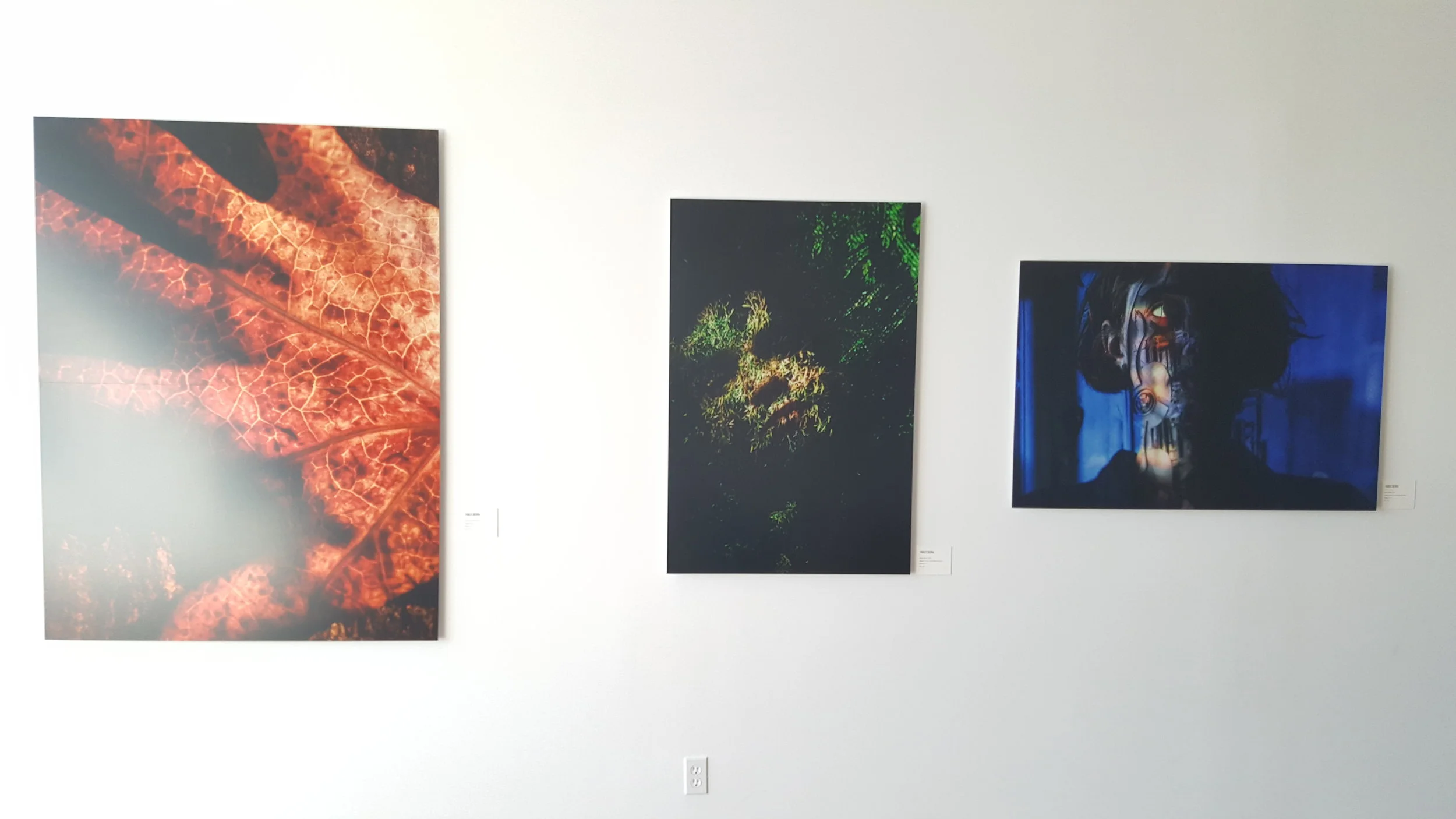  Naturæ. Exhibition view. Newburgh Open Studios, Newburgh, NY.  September  &nbsp;2016.&nbsp; 