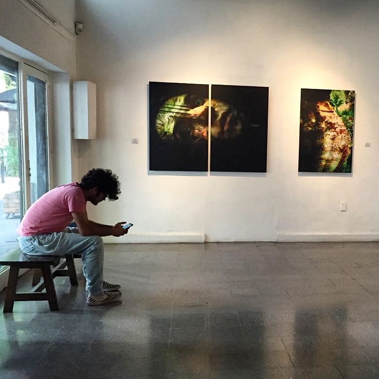  Naturæ. Exhibition view with the artist. Traeger y Pinto Arte Contemporaneo, Mexico City,  June 2016.&nbsp; 