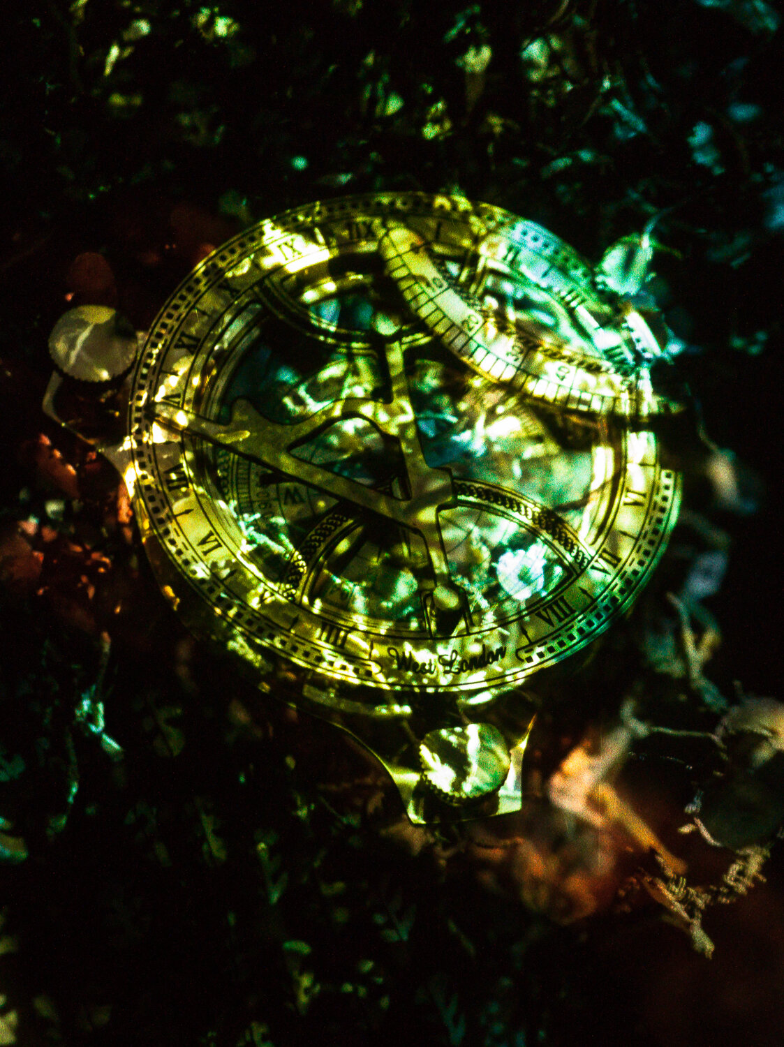 The Guide, 2016 Archival pigment print on pearl-metallic paper 30 x 45 in Edition of 11 + 2 Artist prints