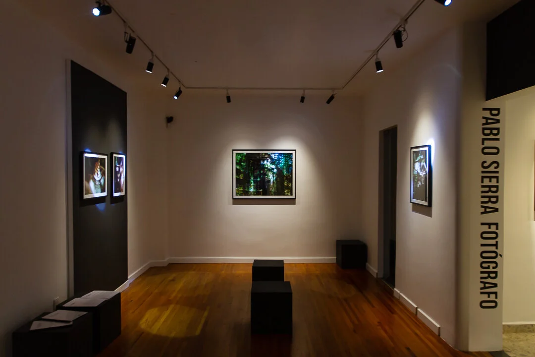  The City, Dreams, and Consciousness. Installation view. Galería Proyecto México Antiguo, Mexico City.  May - Ago 2019 