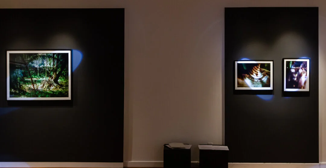  The City, Dreams, and Consciousness. Installation view. Galería Proyecto México Antiguo, Mexico City.  May - Ago 2019 