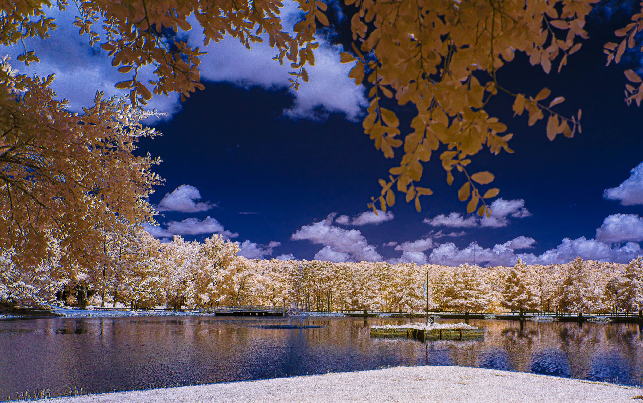 Star Lake Island -4793.jpg