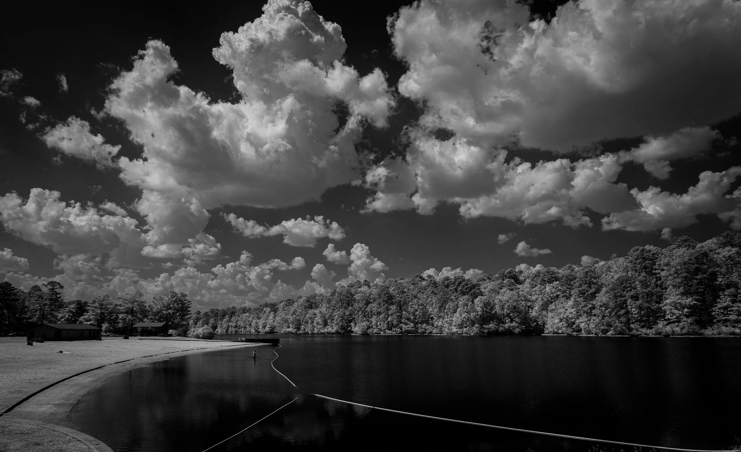 Solitary Swimmer at Oak Mountain State Park.jpg