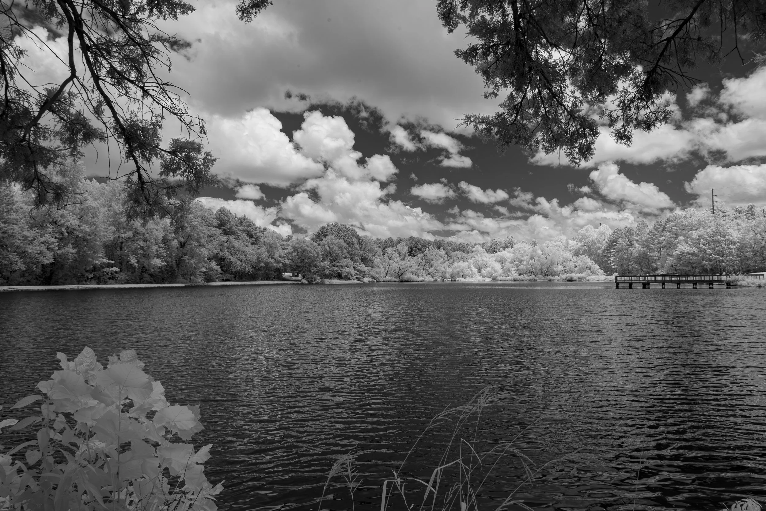 Veterans Park Big Lake INF4822.jpg