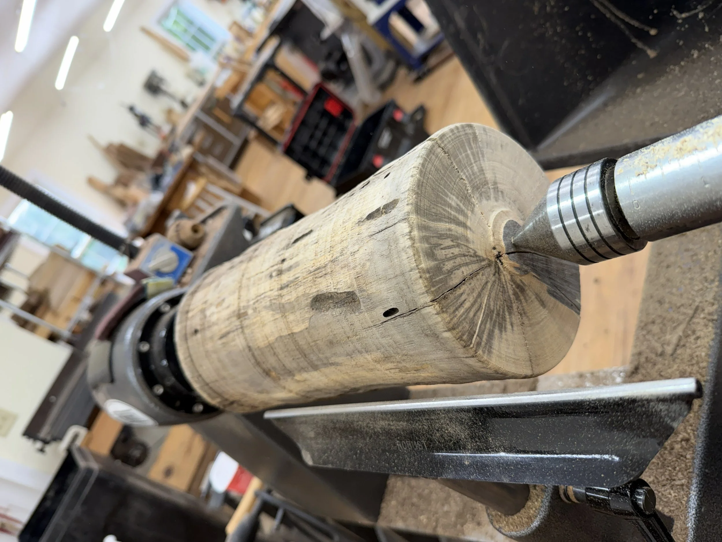 Persimmon log rounded into a cylinder on the lathe, showing radiating cracks in the end grain.
