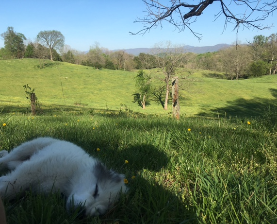 A sleepy Beast on a beautiful day - April 23rd