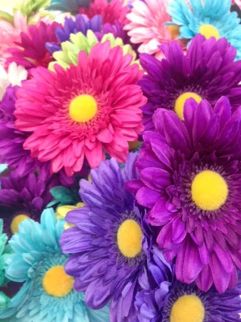 May Flowers