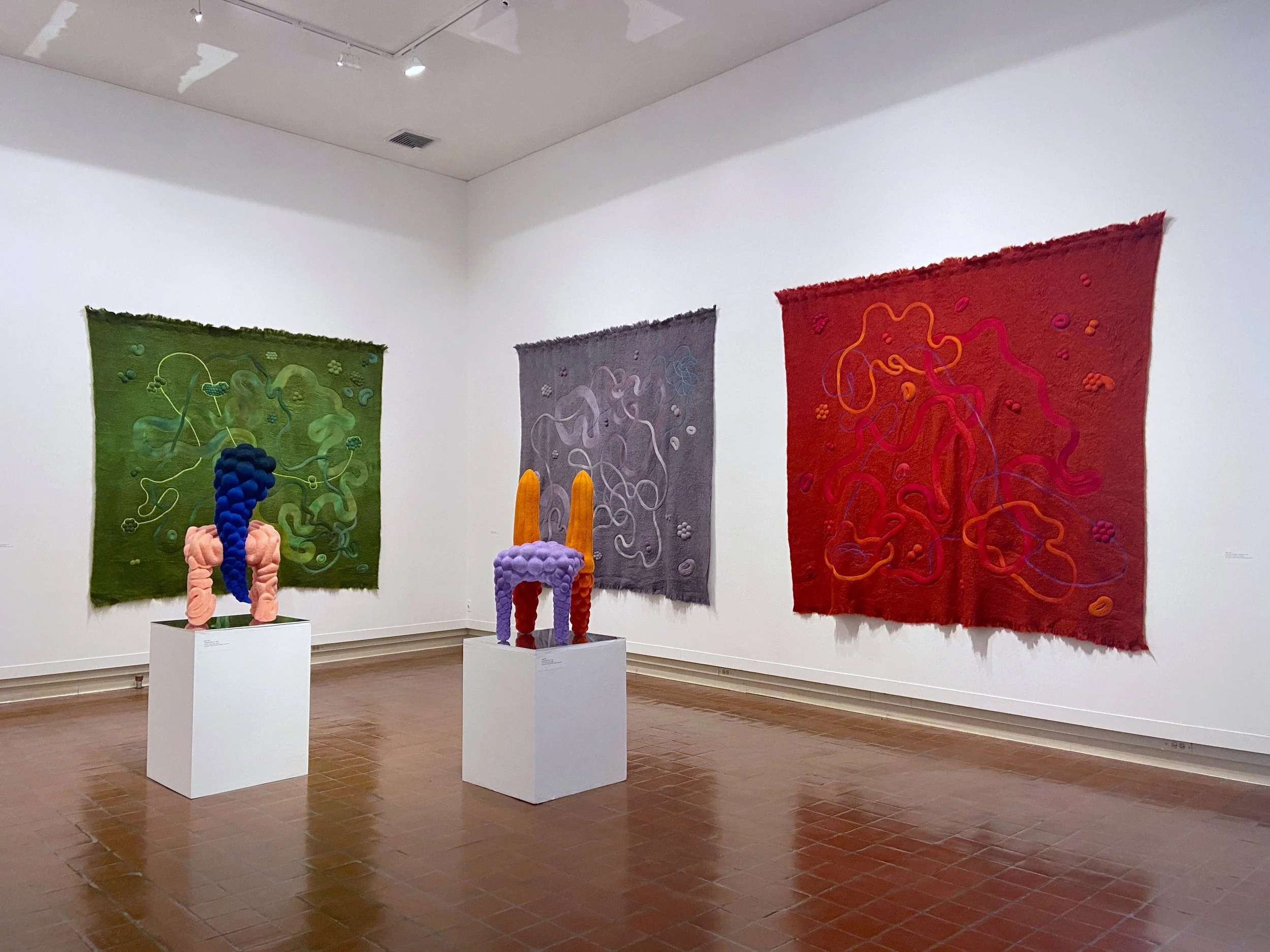 installation-photo-by-erin-jenkins-of-felt-experience-25_52198531115_o.jpg