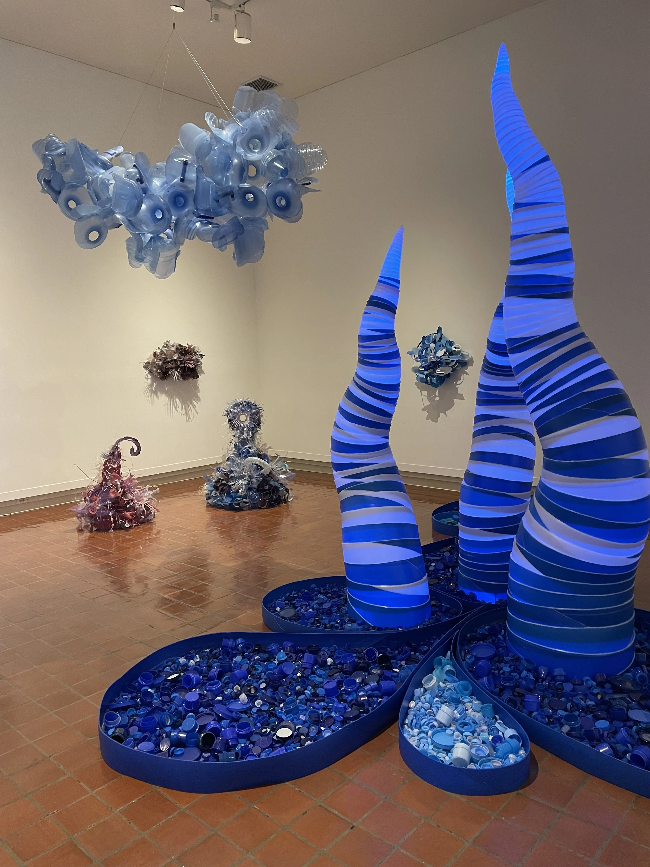 EXHIBITIONS CURATED BY KATHERINE GASS STOWE FOR MUSEUM AND NONPROFITS
