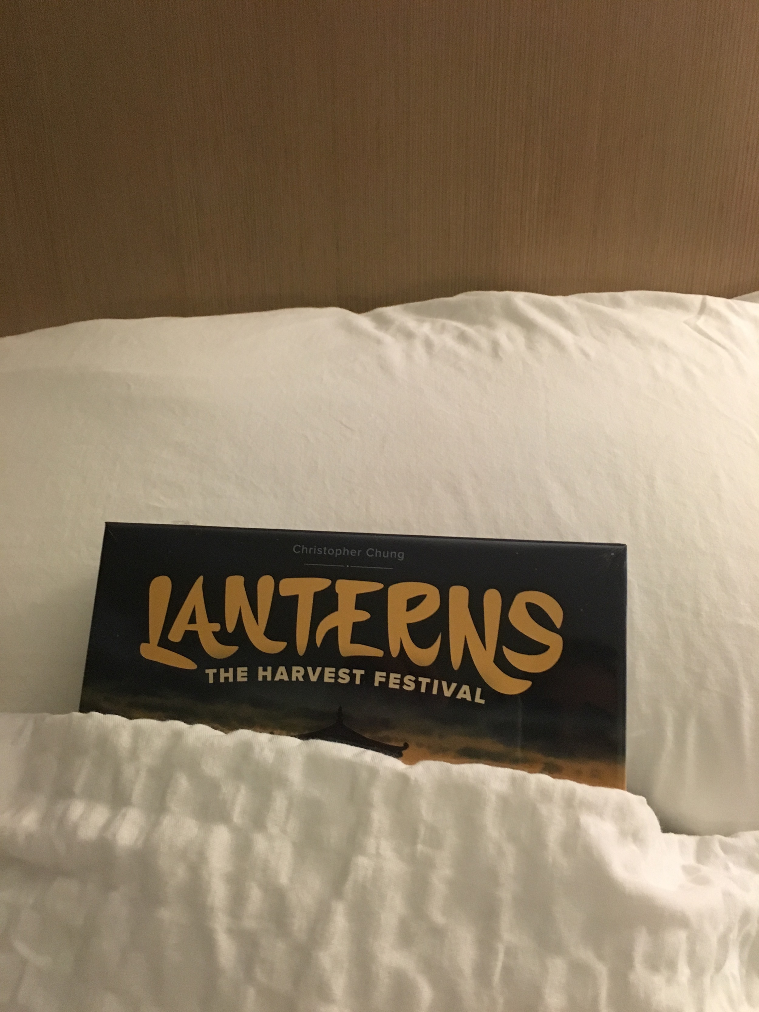 Lanterns all tucked in and ready for the big day!