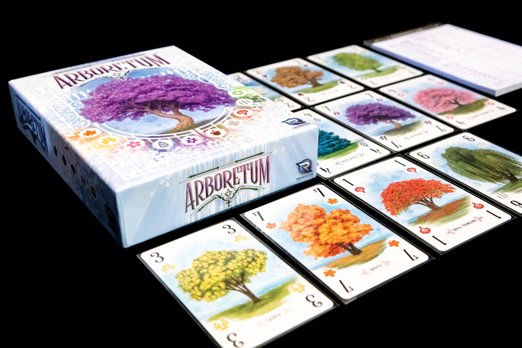 Arboretum (2 of 8).jpg