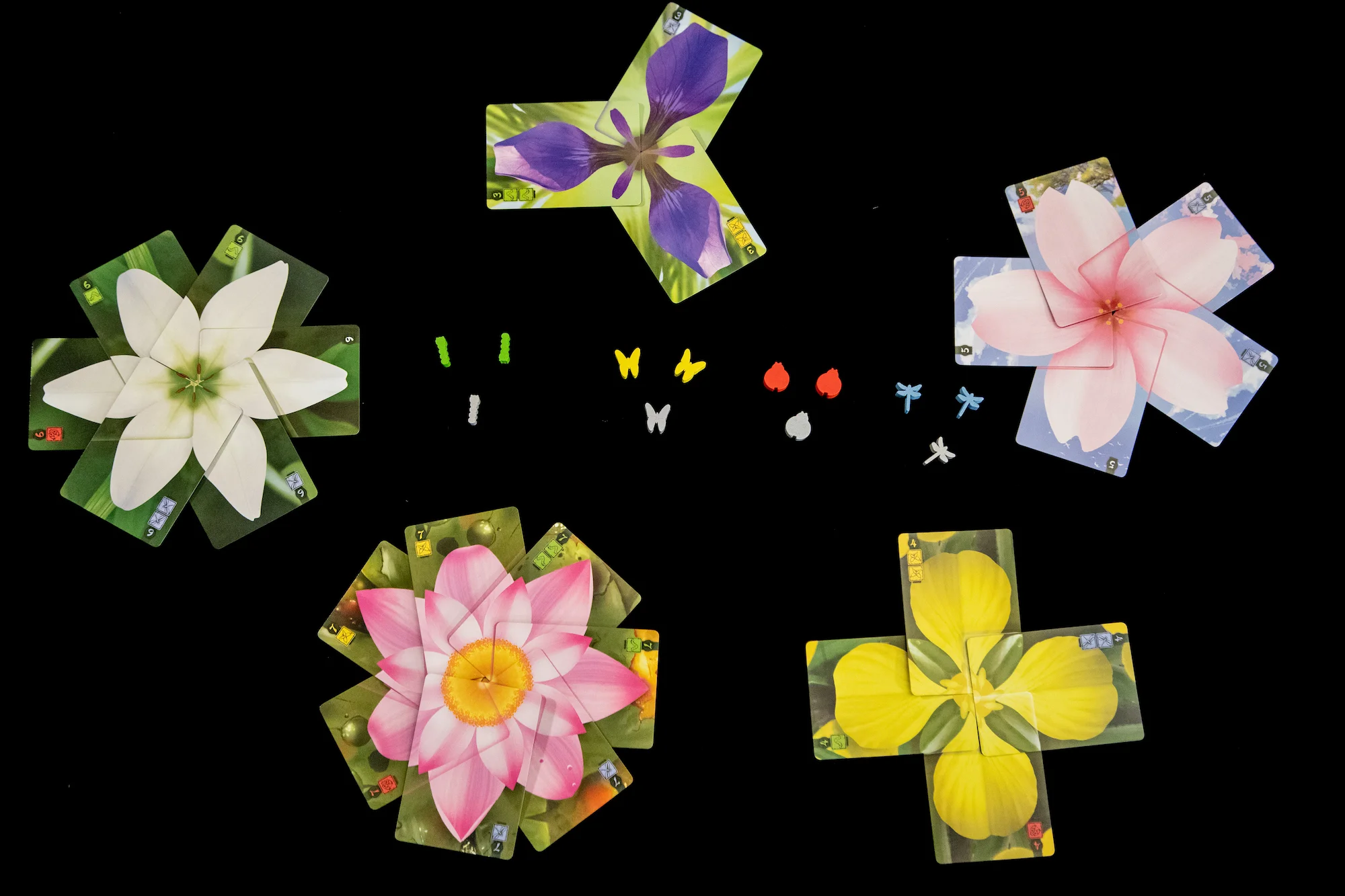 Lotus (3 of 6).jpg
