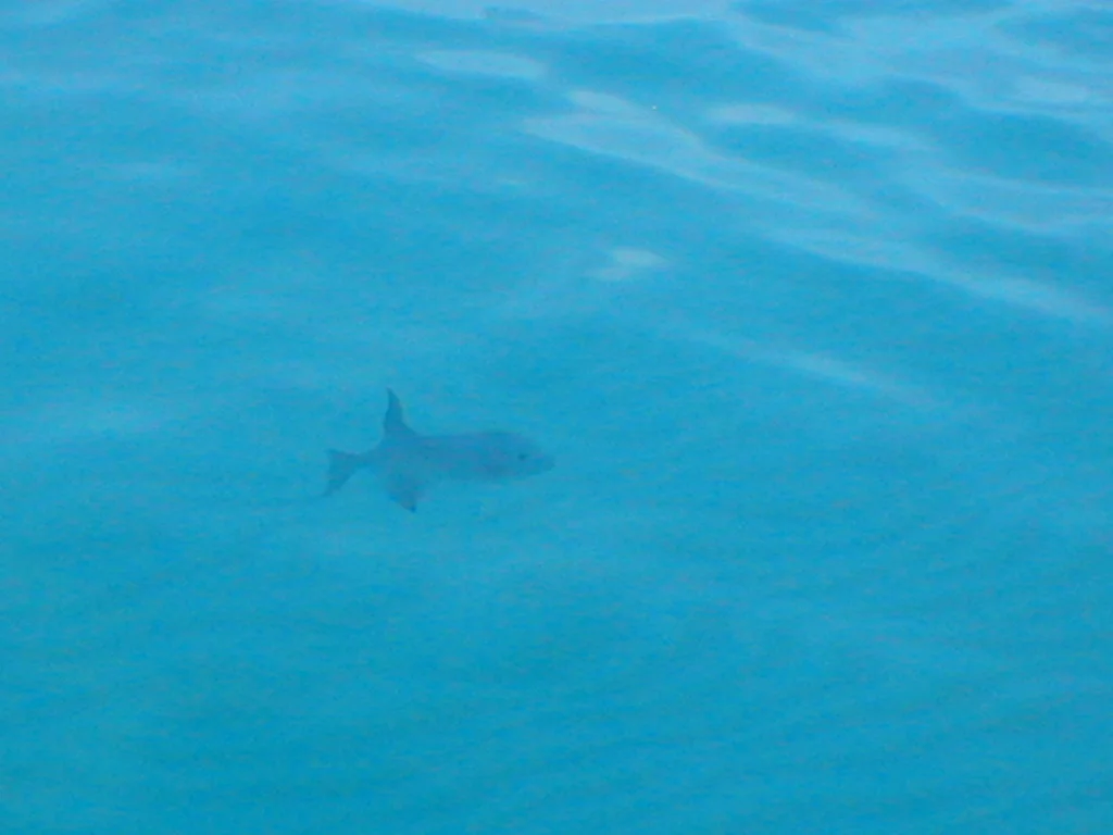 january2005 017.jpg