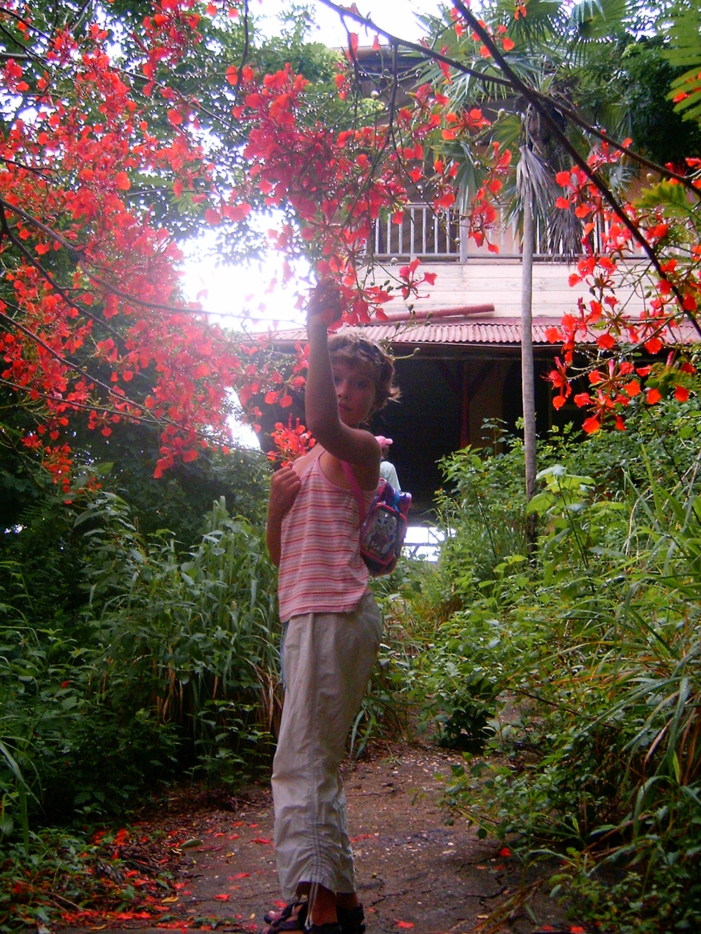 BLOODY FLOWERS @ HAUNTED CHACACHACARE