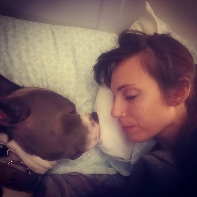 He's got his own pillow 💜
.
Smooshies his nose into mine 💜
.
Snores in my ear 💜
.
I wouldn't have it any other way 💜
.
My Bohdi love has brought so much to me, I really don't have the words to Express what I experience with him. 
#pittsofinstagra