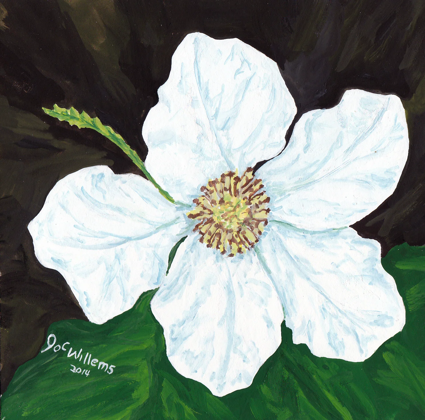 Thimble Berry