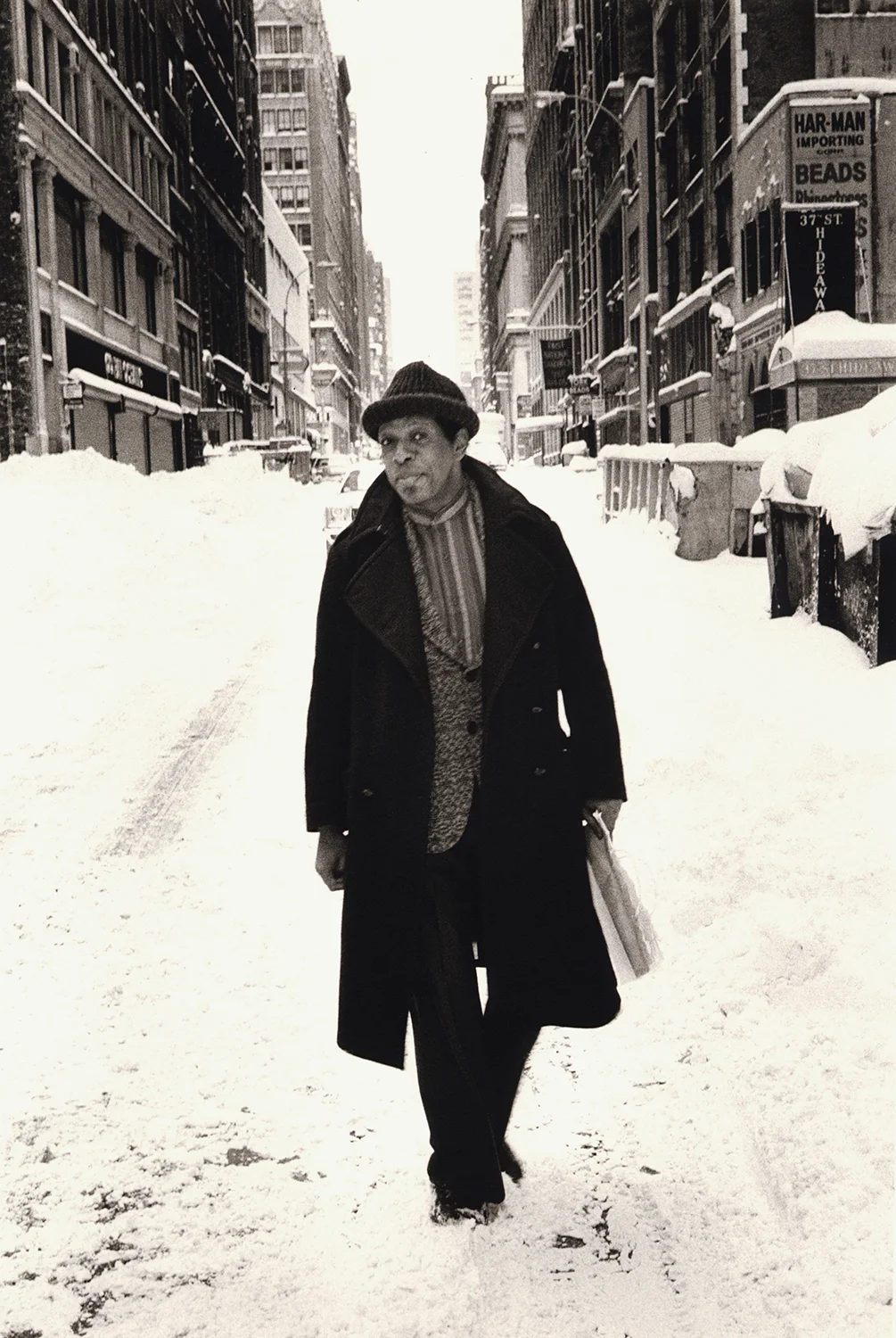 OrnetteSnowWEB©CarolFriedmanNoRepro.jpg