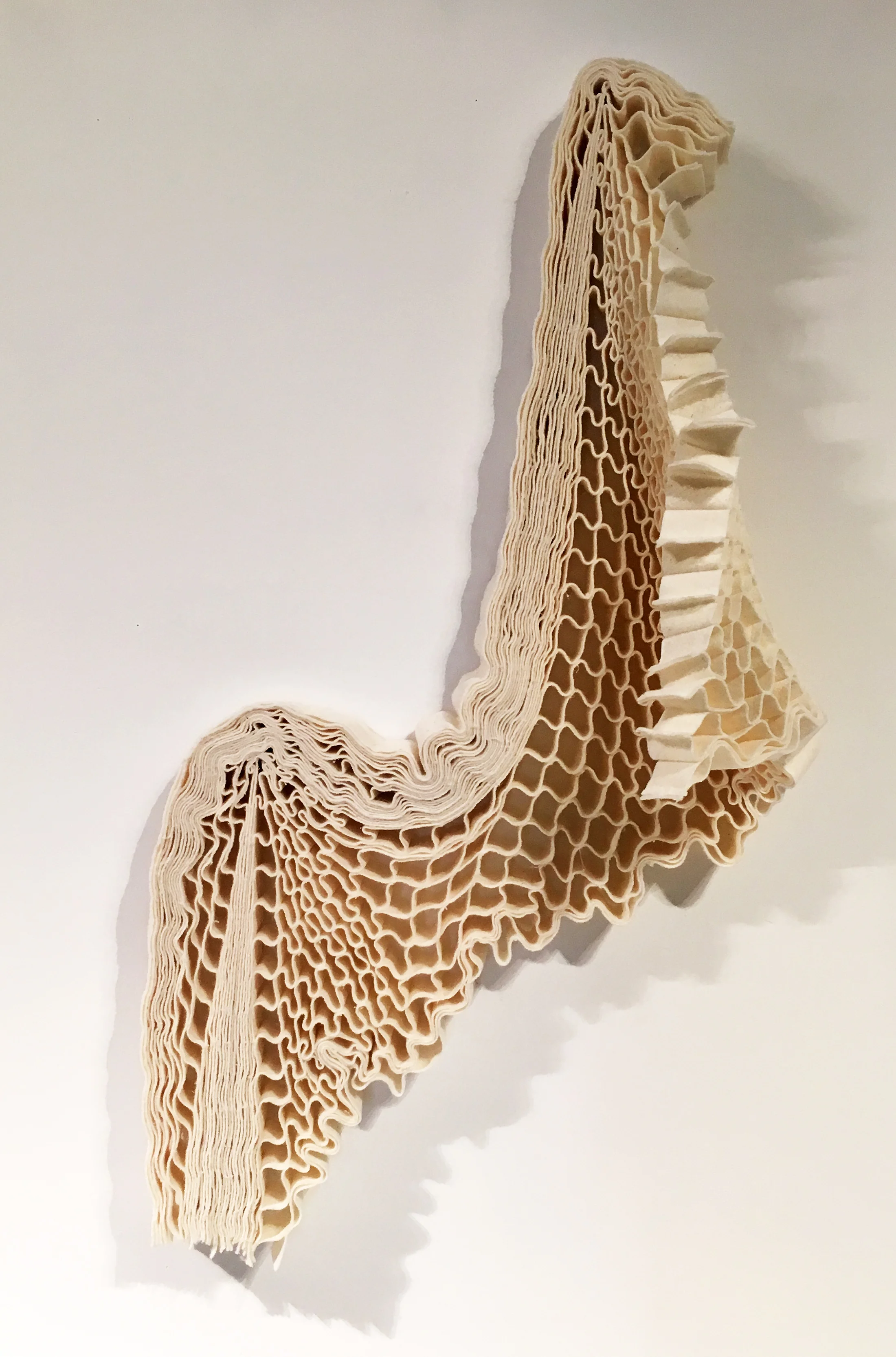 Variations: Wall 5 - 2017