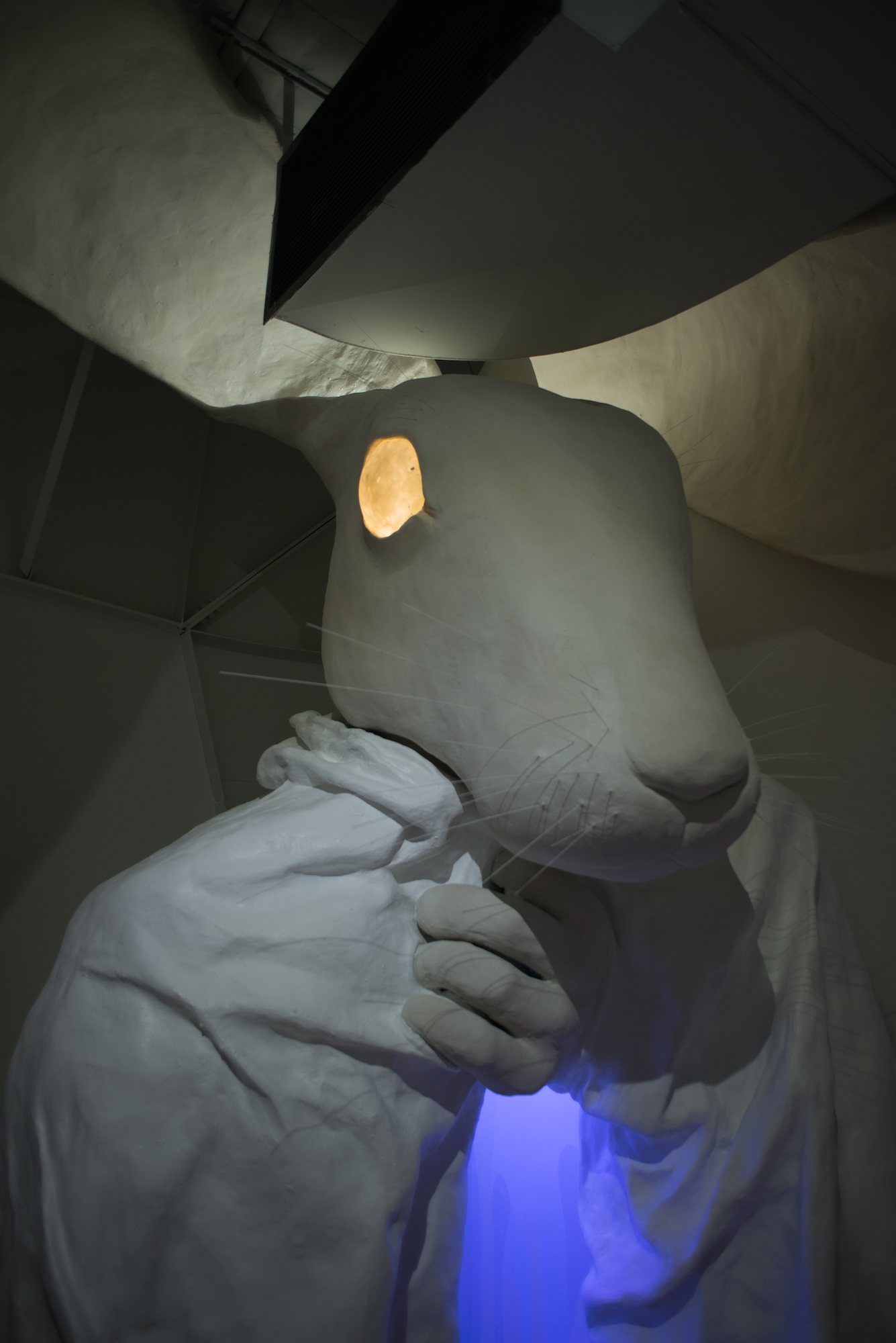 Rabbit , 2016 - photo by Brandon Soder