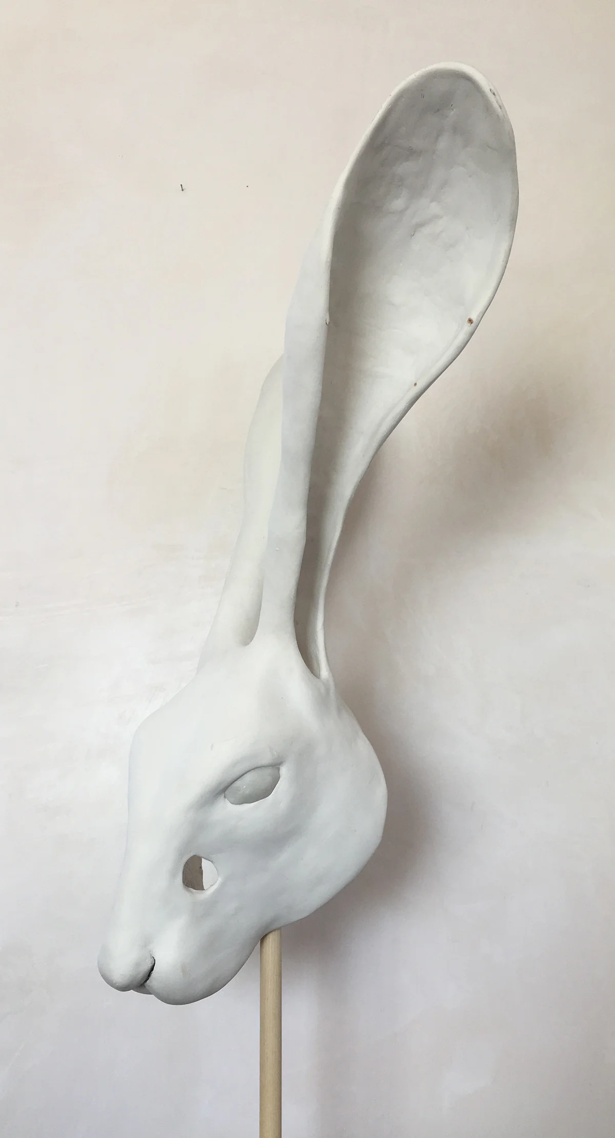 Jack Rabbit , 2014