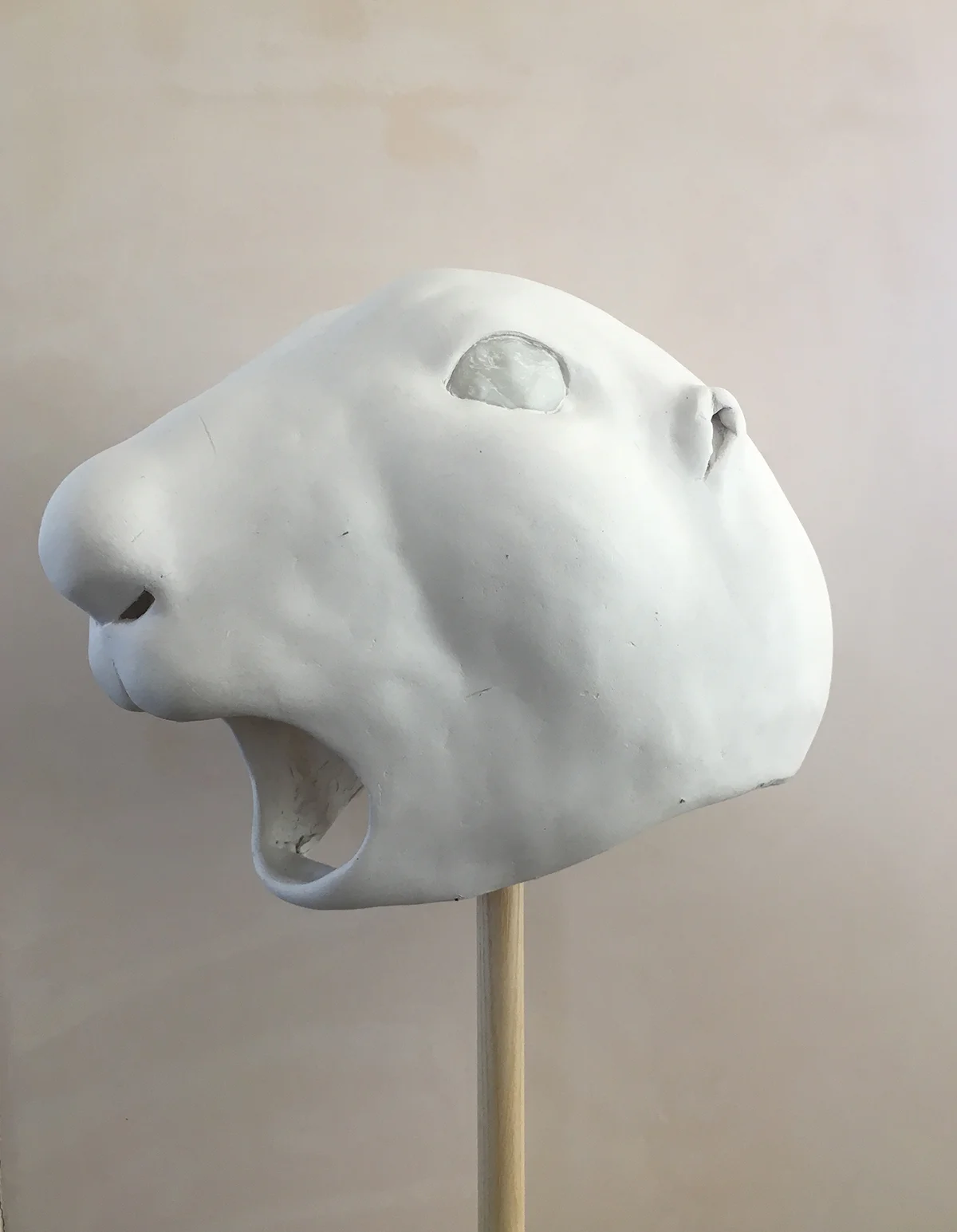 Prairie Dog , 2013