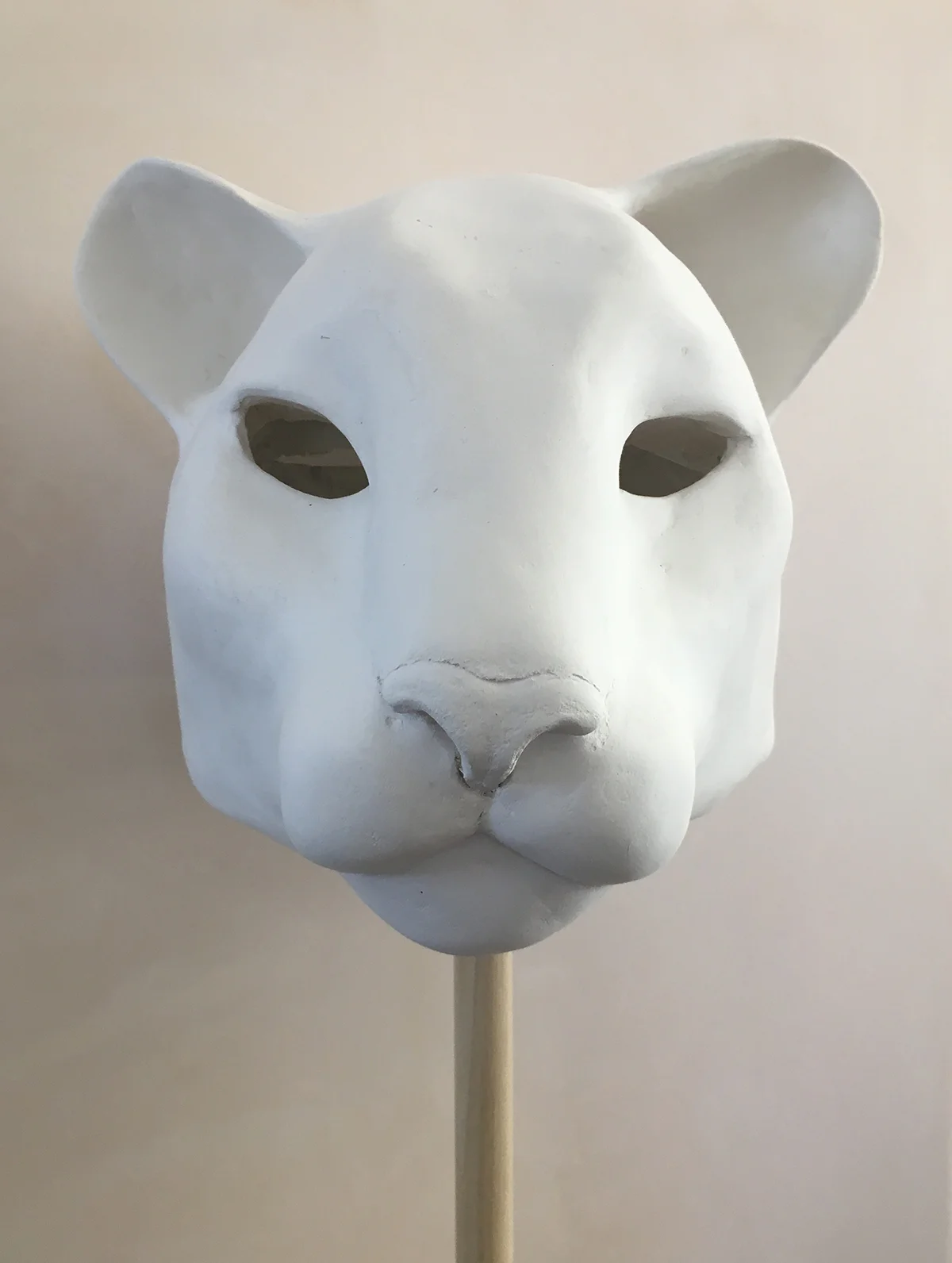 Mountain Lion , 2014