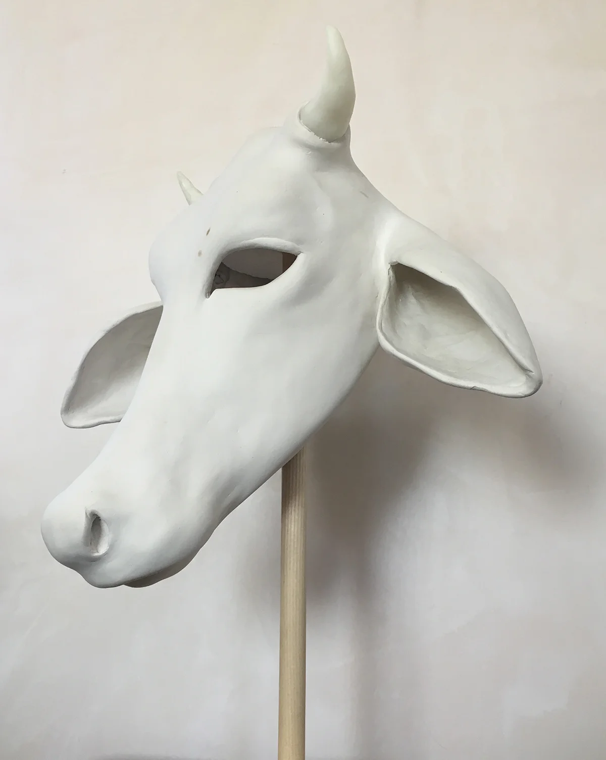 Brahman Cow , 2012