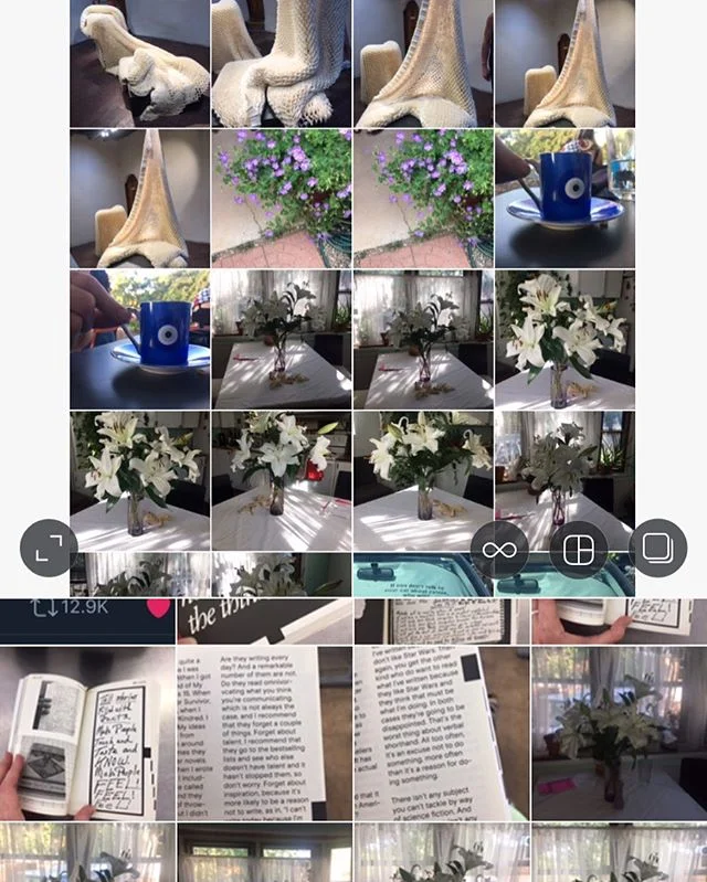 My brain is so f-ing full