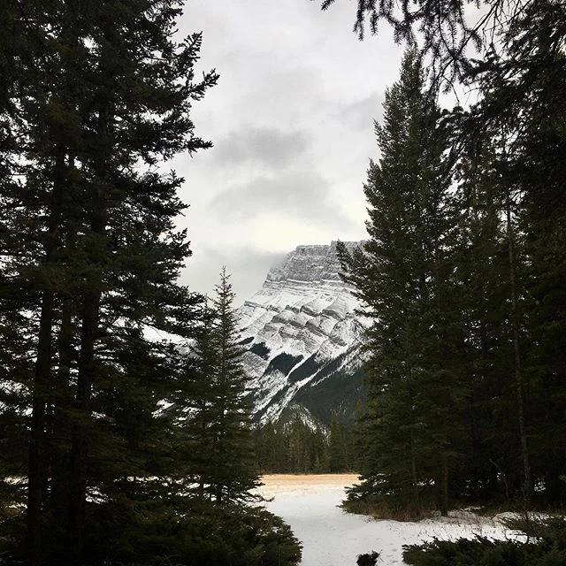 I wrote a 6000 word essay &amp; another 5000 words about all the feelings I had while trying to write it