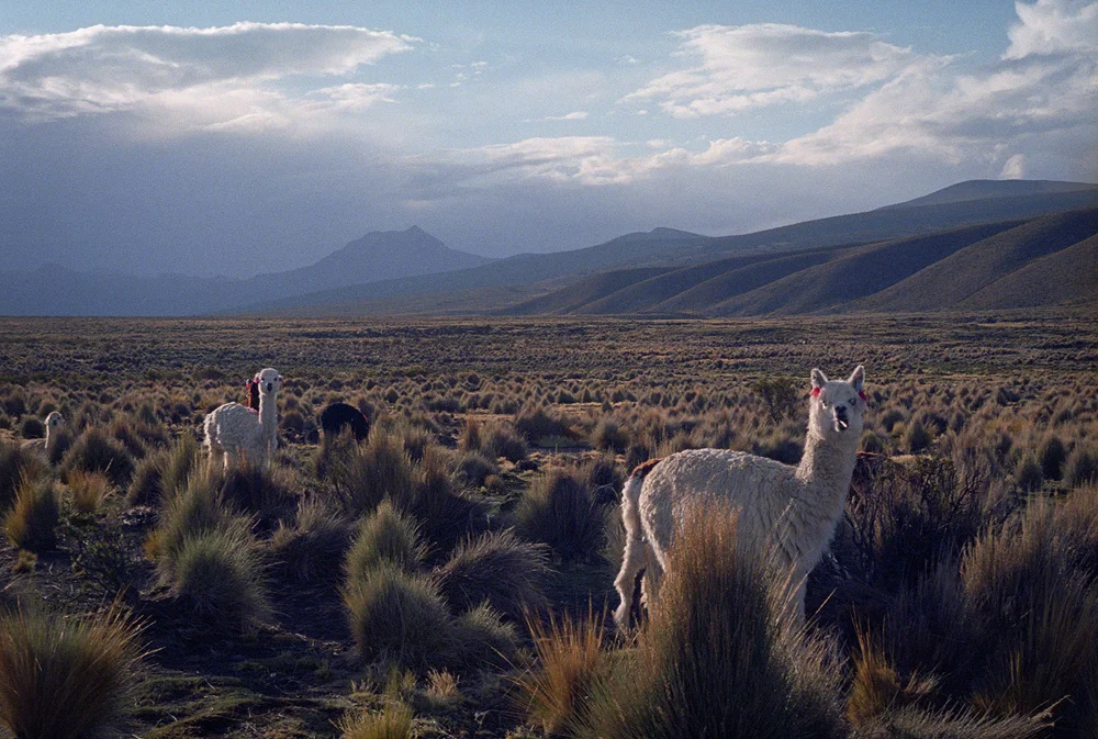 SAmerica_Bolivia-49.jpg