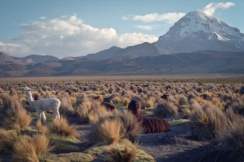 SAmerica_Bolivia-52.jpg