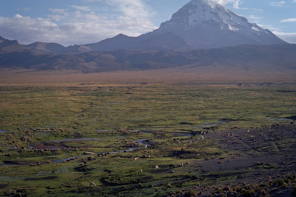 SAmerica_Bolivia-50.jpg