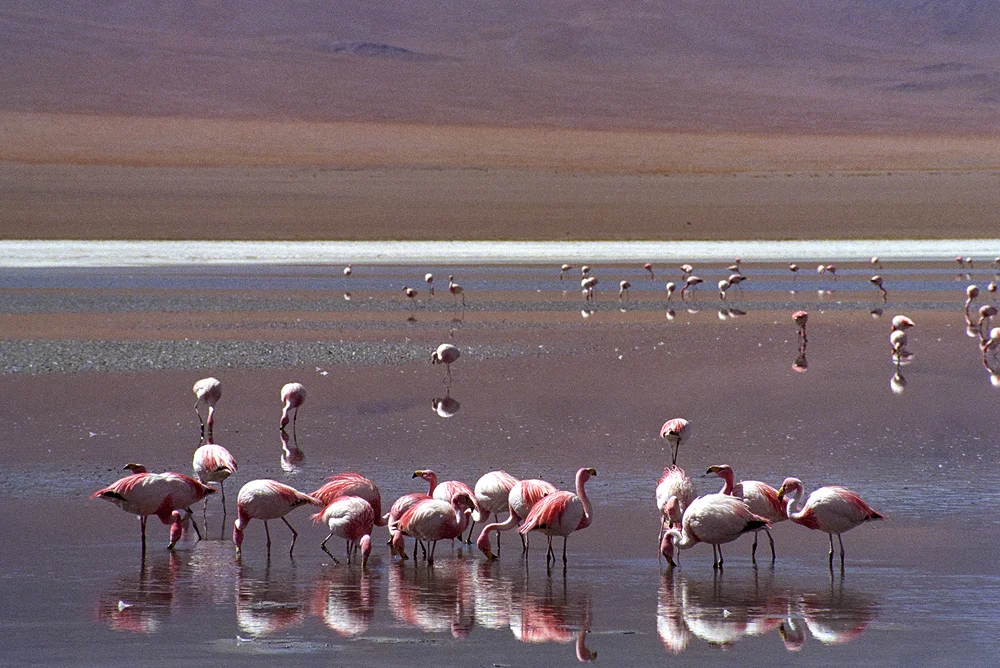 SAmerica_Bolivia-164.jpg