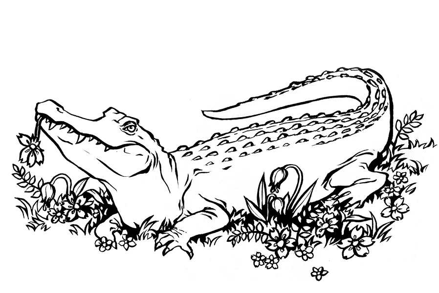 crocodile_sm.jpg
