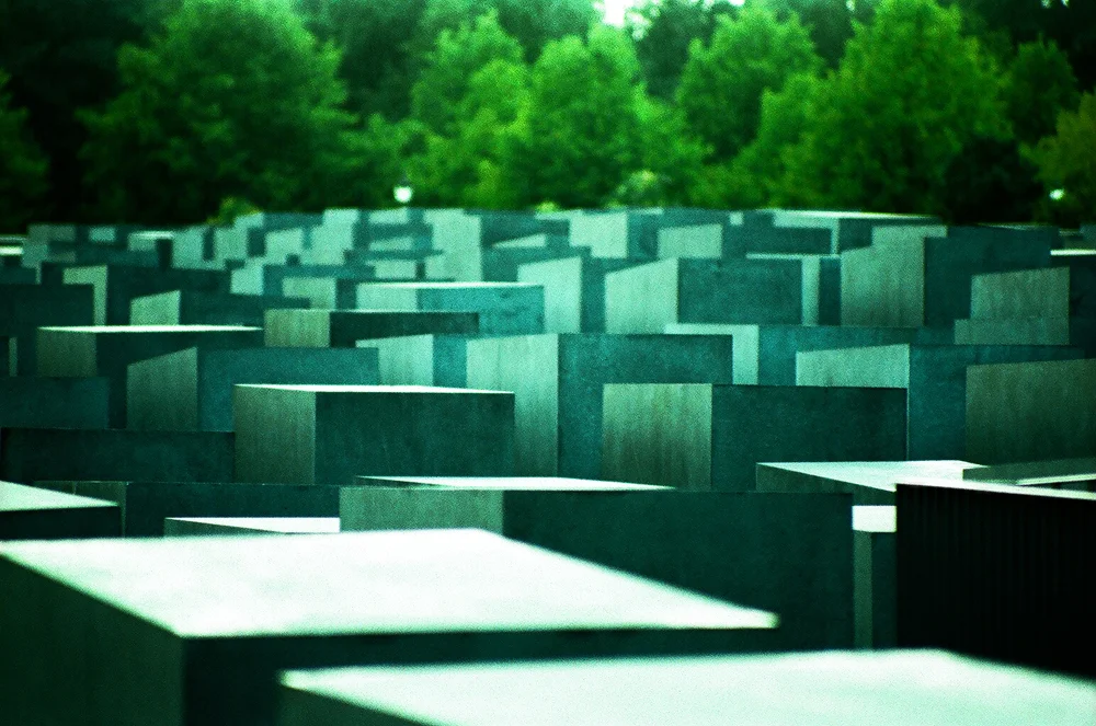 17_80110020.jpg