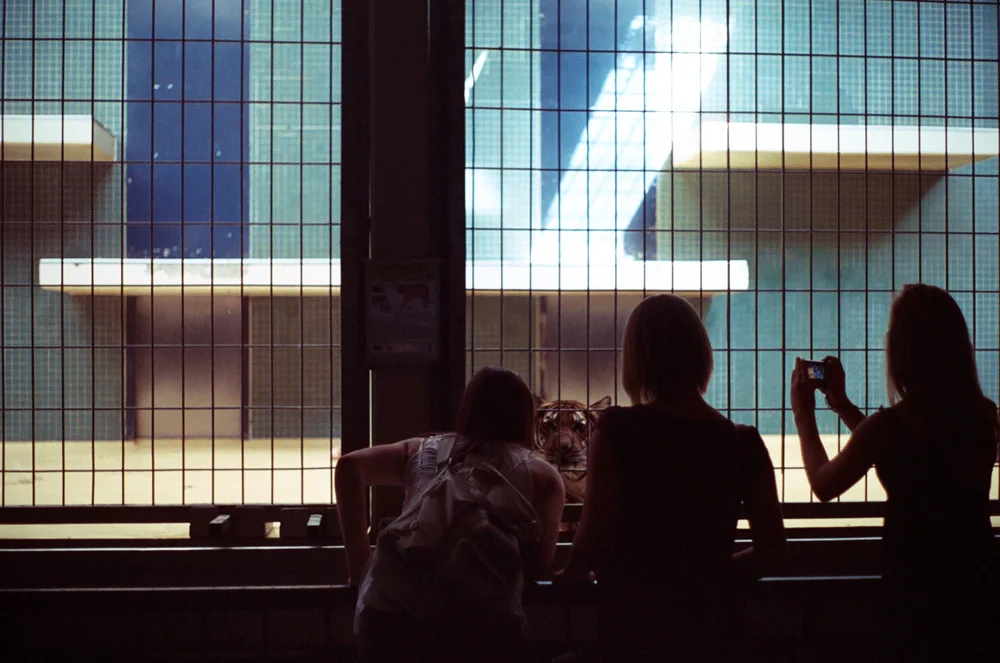 17_amsterdamberlin013.jpg