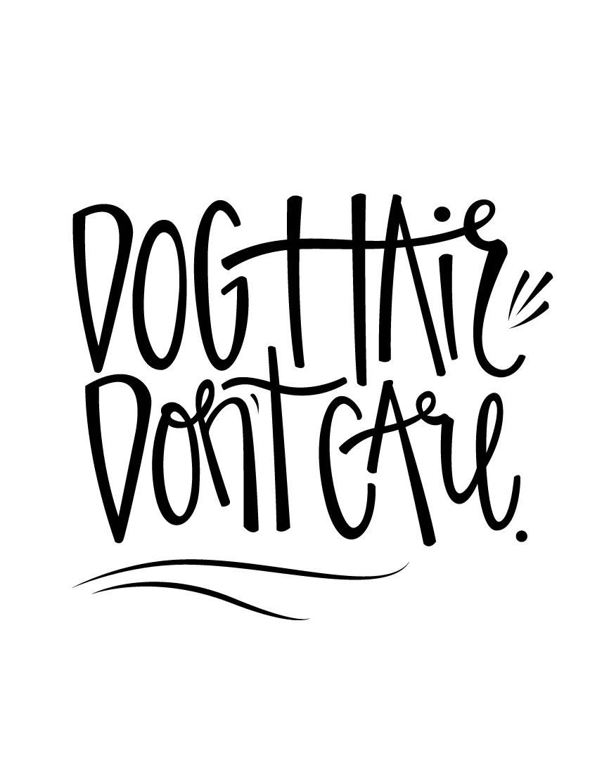 doghairdontcare.jpg