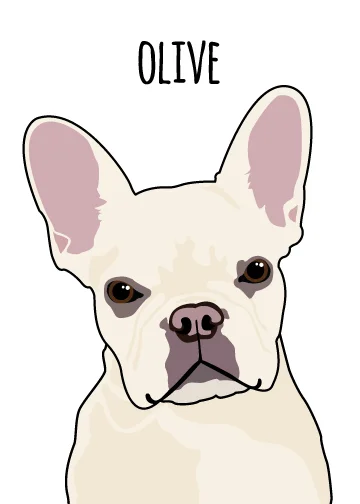 Olive.jpg