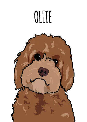 ollie.jpg