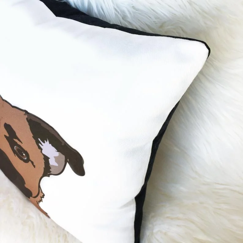 petpillow3.jpg