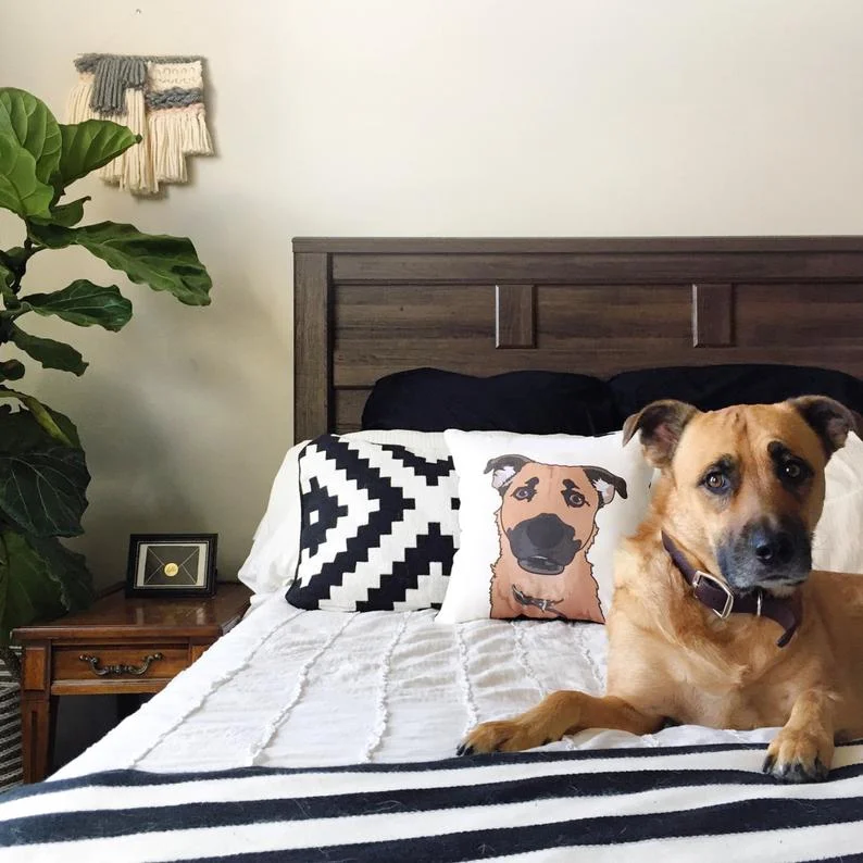 petpillow2.jpg